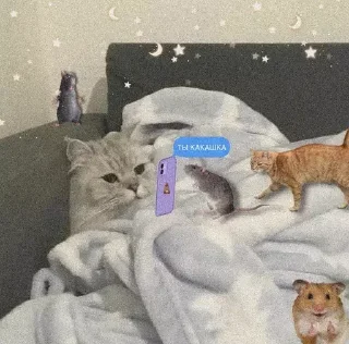 🏠