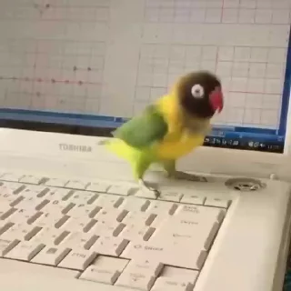 😰