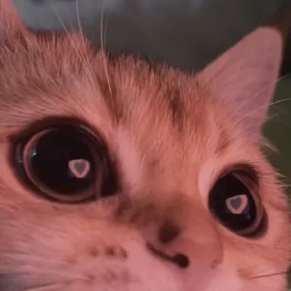 😍
