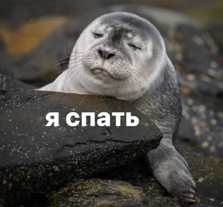 🥱