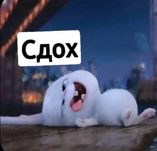 😵