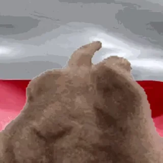 🇵🇱