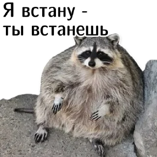 👊