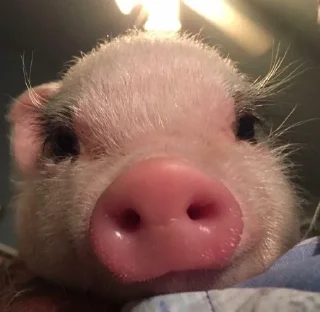 🙂