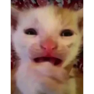 😧