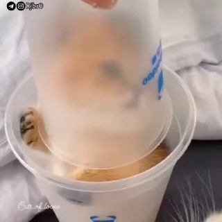 😊