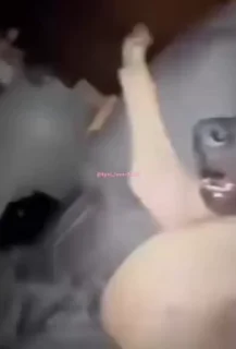 😴
