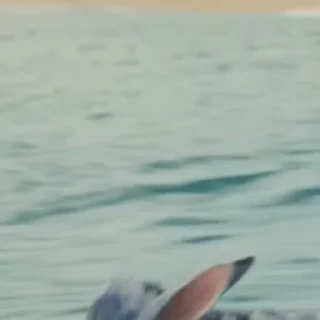 🌟