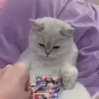 💕