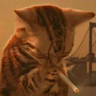 🚬