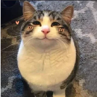 ☺️