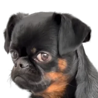 🥺