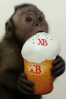 🥳