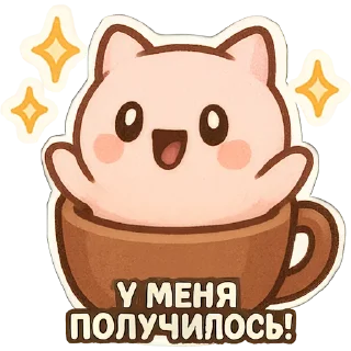 ✨