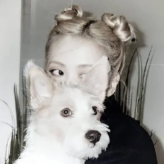 🌟