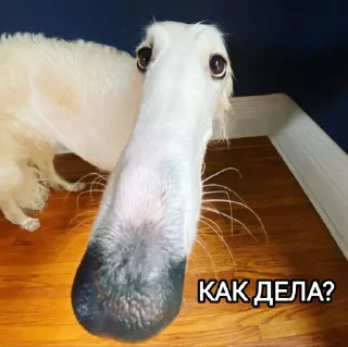 🤷