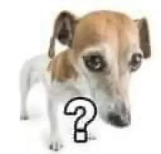 ❓