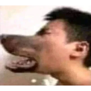 🐺