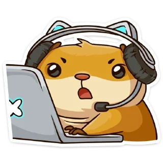 💻