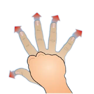 ✋