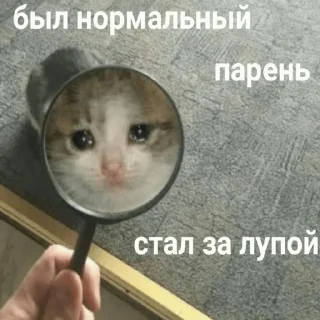 😢