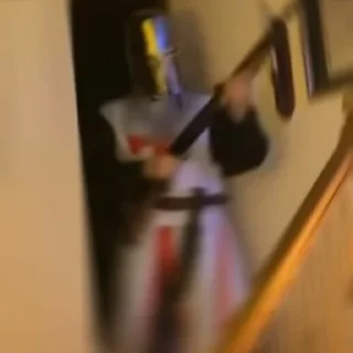 👑