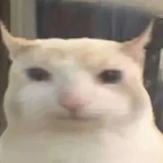 😏
