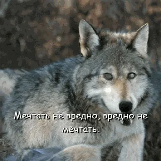 😇