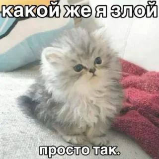 😠