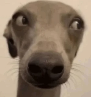 😓