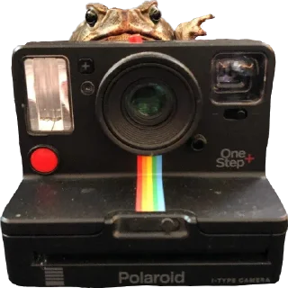 📷
