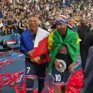 🐢