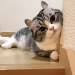 🙂