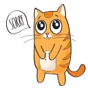 🐱