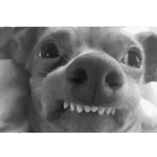 😜