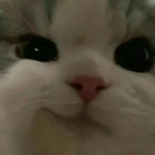 😏