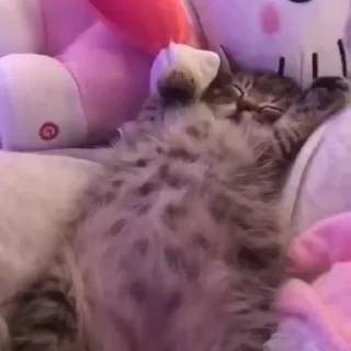 😴