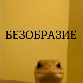 🐍