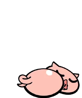 🐷