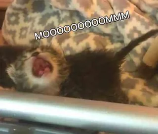 😭