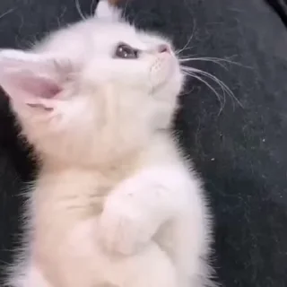 💕