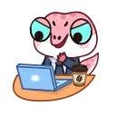 👨‍💻