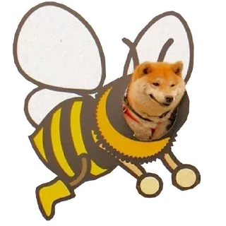 🐶