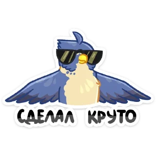 😎