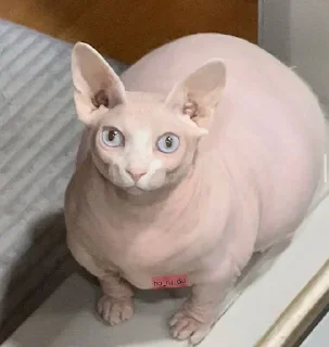 😳