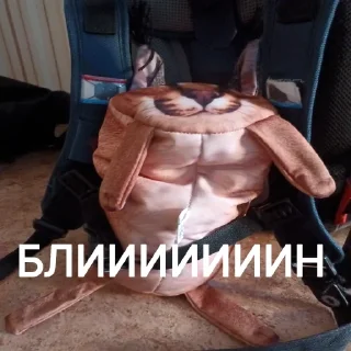 🎒