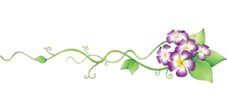 🌸