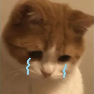 😭