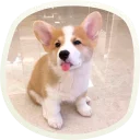😝