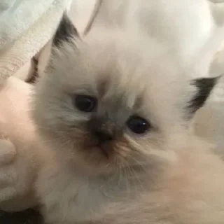 😕